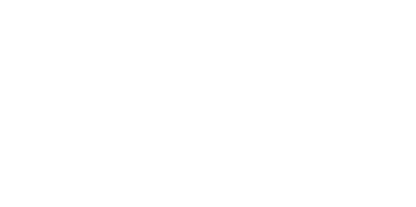 ステークカジノ 日本向け情報サイトのロゴ
